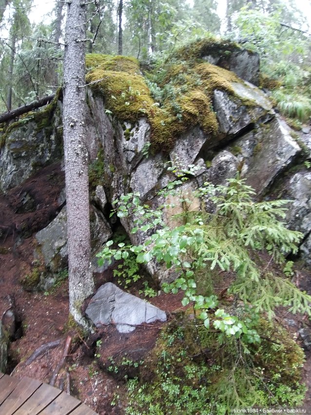 Мишкино лето — Разные шарнирные куклы (не БЖД): редкие