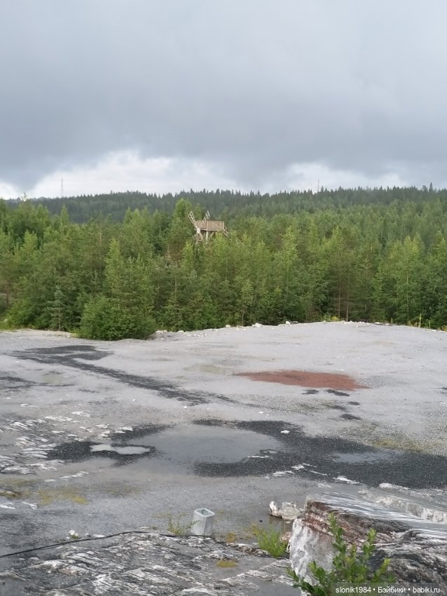 Мишкино лето — Разные шарнирные куклы (не БЖД): редкие