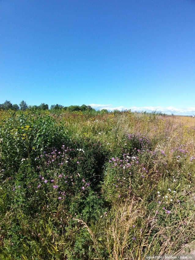 Мишкино лето — Разные шарнирные куклы (не БЖД): редкие