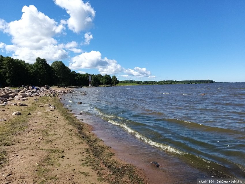 Мишкино лето — Разные шарнирные куклы (не БЖД): редкие