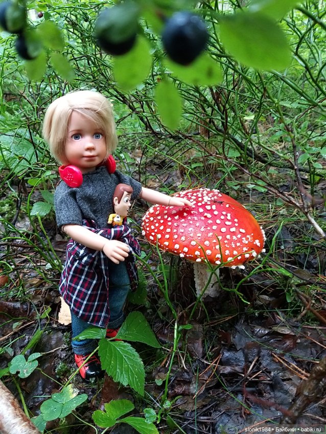 Мишкино лето — Разные шарнирные куклы (не БЖД): редкие