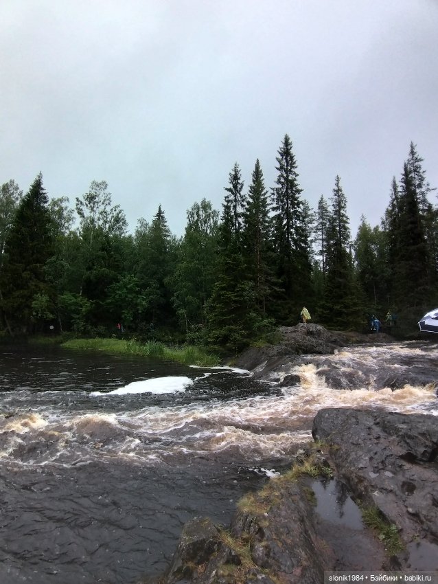 Мишкино лето — Разные шарнирные куклы (не БЖД): редкие