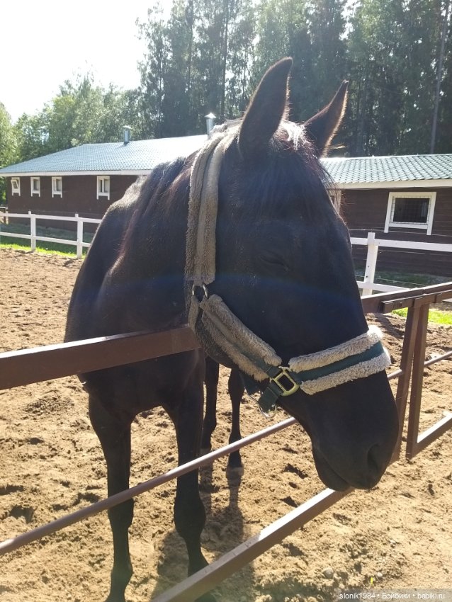 Мишкино лето — Разные шарнирные куклы (не БЖД): редкие