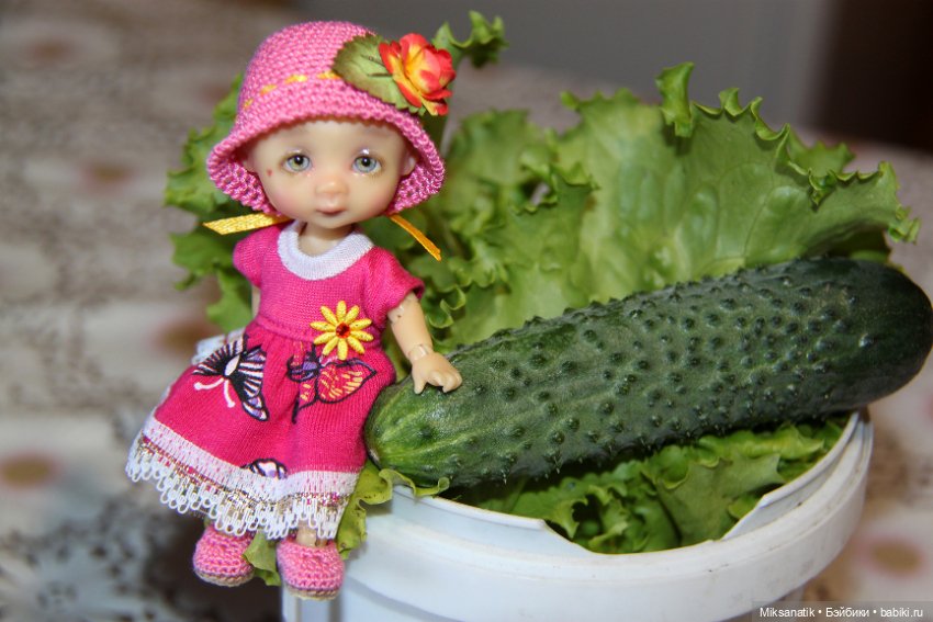 Дары лета — Куклы Nikki Britt (Никки Бритт): авторские BJD (БЖД)