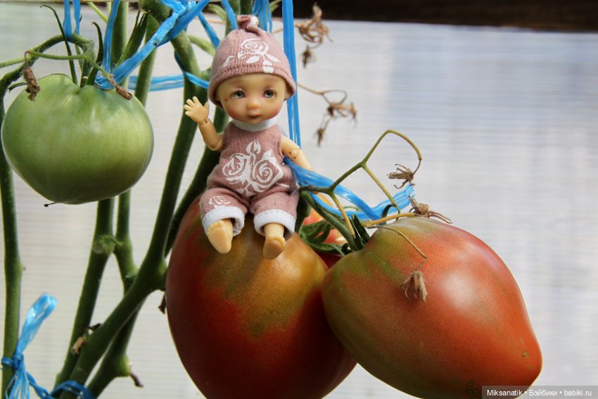 Дары лета — Куклы Nikki Britt (Никки Бритт): авторские BJD (БЖД) (фото 6)