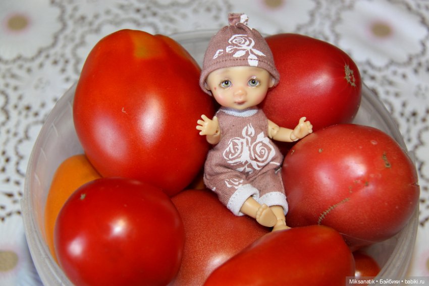 Дары лета — Куклы Nikki Britt (Никки Бритт): авторские BJD (БЖД) (фото 5)