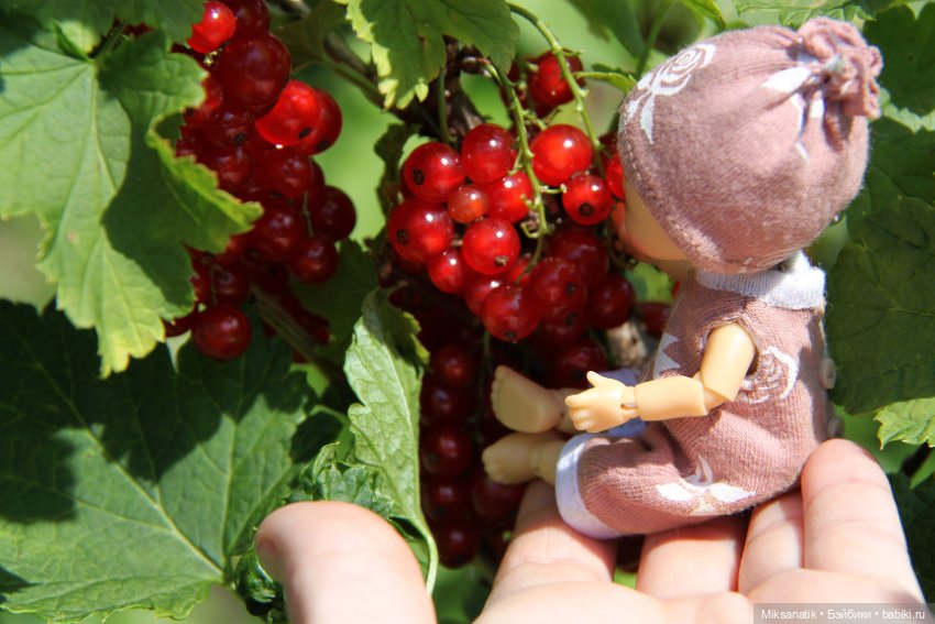 Дары лета — Куклы Nikki Britt (Никки Бритт): авторские BJD (БЖД) (фото 8)