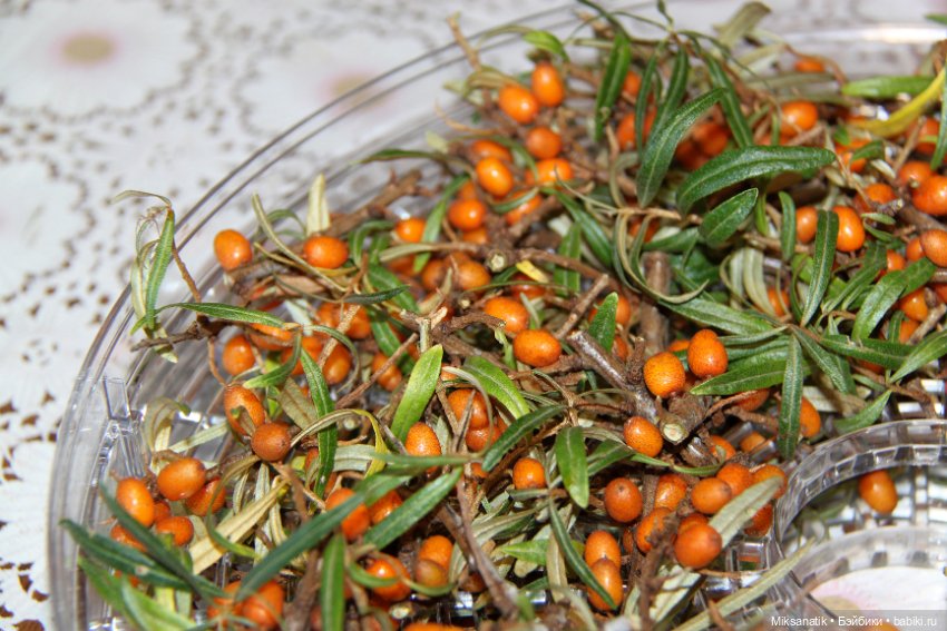 Дары лета — Куклы Nikki Britt (Никки Бритт): авторские BJD (БЖД)