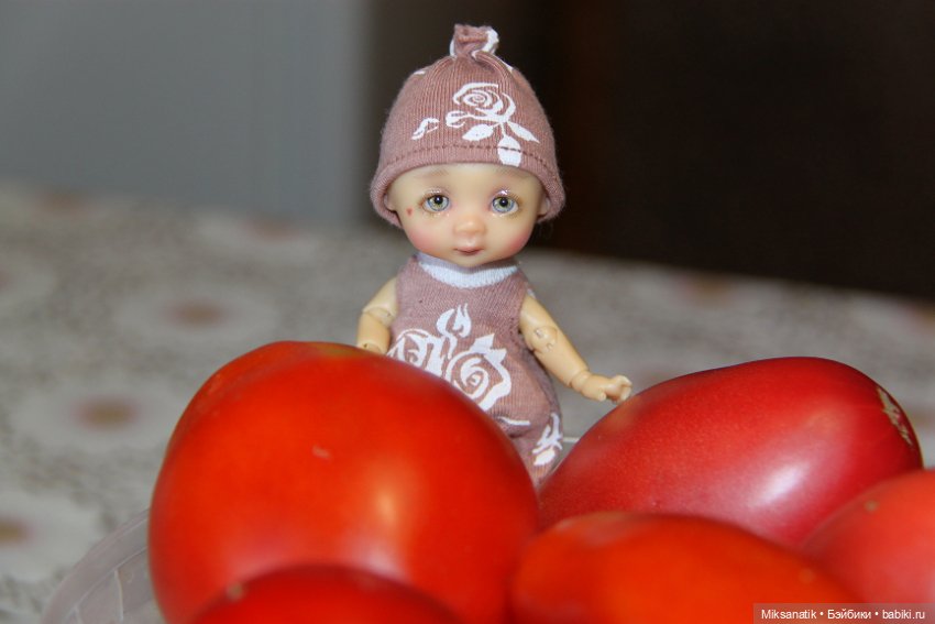 Дары лета — Куклы Nikki Britt (Никки Бритт): авторские BJD (БЖД) (фото 4)