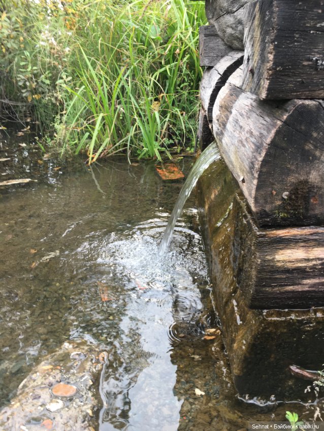 Вот и лето прошло... Только этого мало