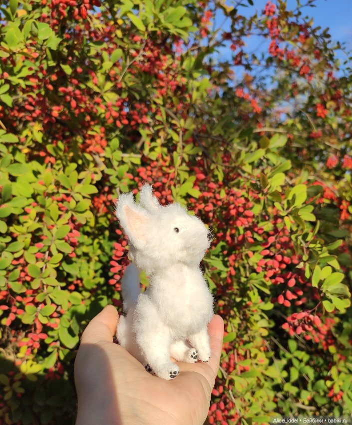 А вот и Мэгги — Куклы LeeAnn (Denis Bastien) и Marianna Oldenburg: винил (фото 3)