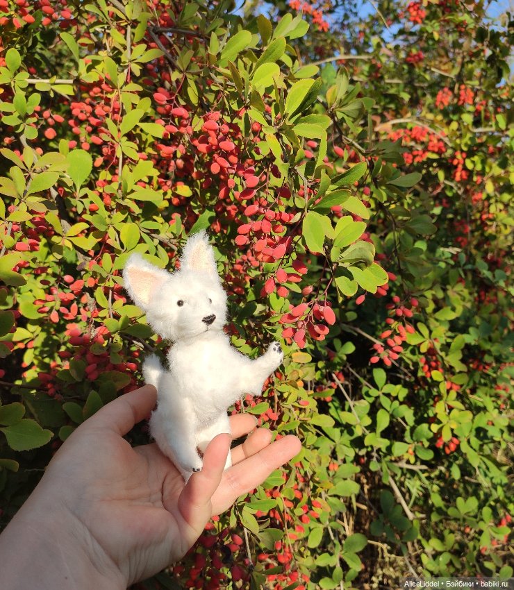 А вот и Мэгги — Куклы LeeAnn (Denis Bastien) и Marianna Oldenburg: винил (фото 6)