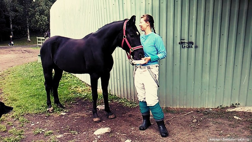 День Лошади — Коллекционные игрушки и фигурки: Lego