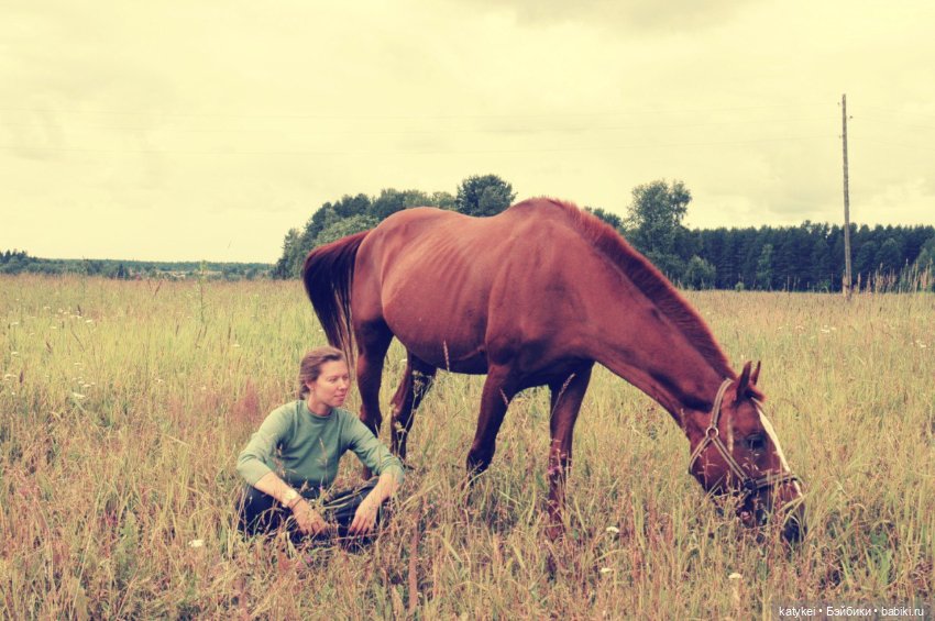 День Лошади — Коллекционные игрушки и фигурки: Lego