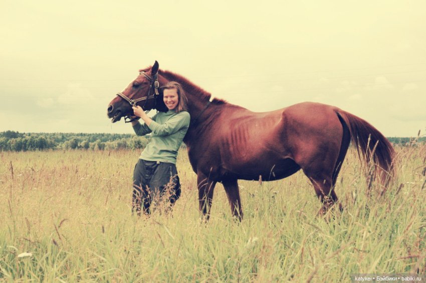 День Лошади — Коллекционные игрушки и фигурки: Lego