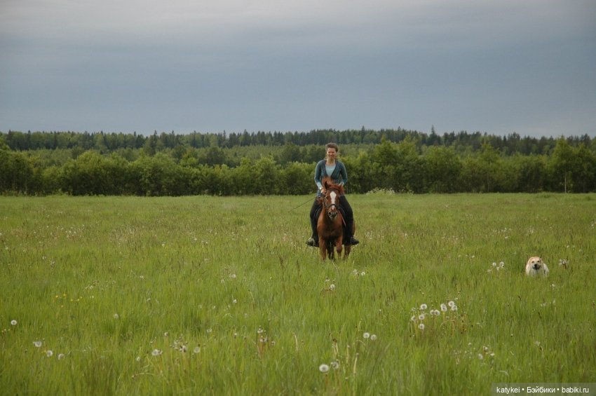 День Лошади — Коллекционные игрушки и фигурки: Lego