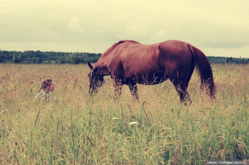 День Лошади — Коллекционные игрушки и фигурки: Lego