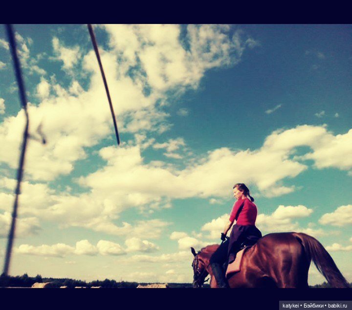 День Лошади — Коллекционные игрушки и фигурки: Lego