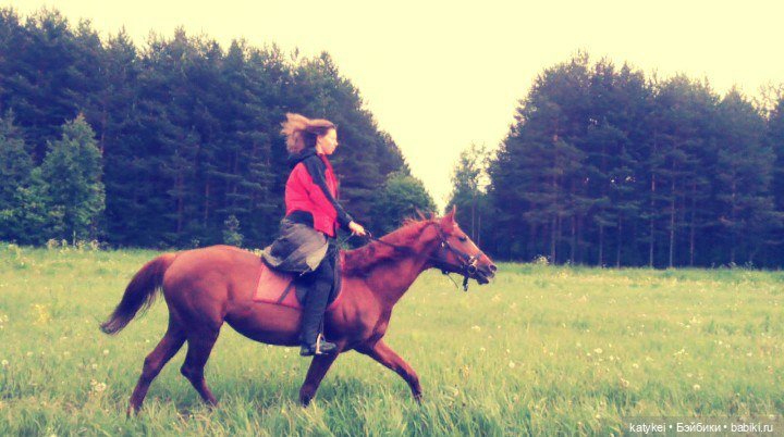 День Лошади — Коллекционные игрушки и фигурки: Lego