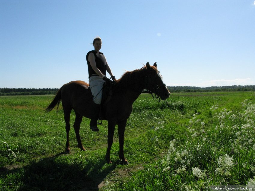 День Лошади — Коллекционные игрушки и фигурки: Lego