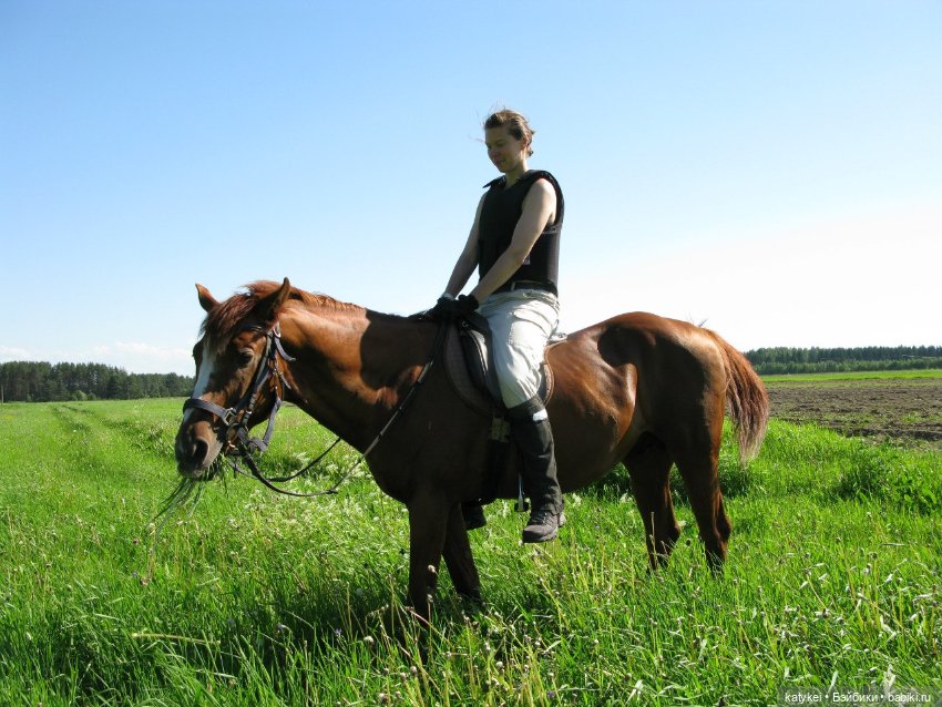 День Лошади — Коллекционные игрушки и фигурки: Lego