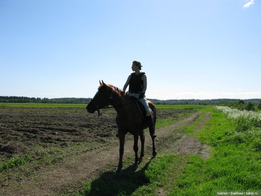 День Лошади — Коллекционные игрушки и фигурки: Lego