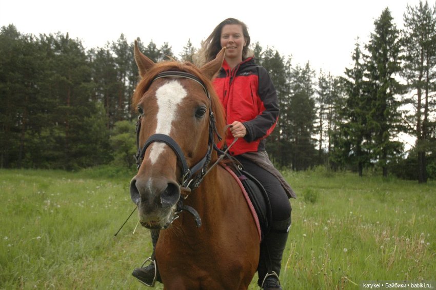 День Лошади — Коллекционные игрушки и фигурки: Lego