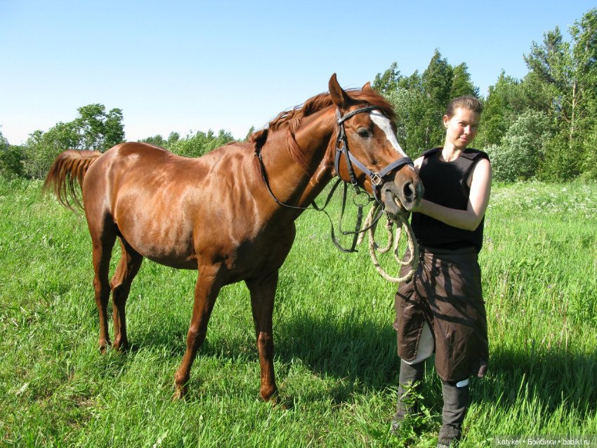 День Лошади — Коллекционные игрушки и фигурки: Lego