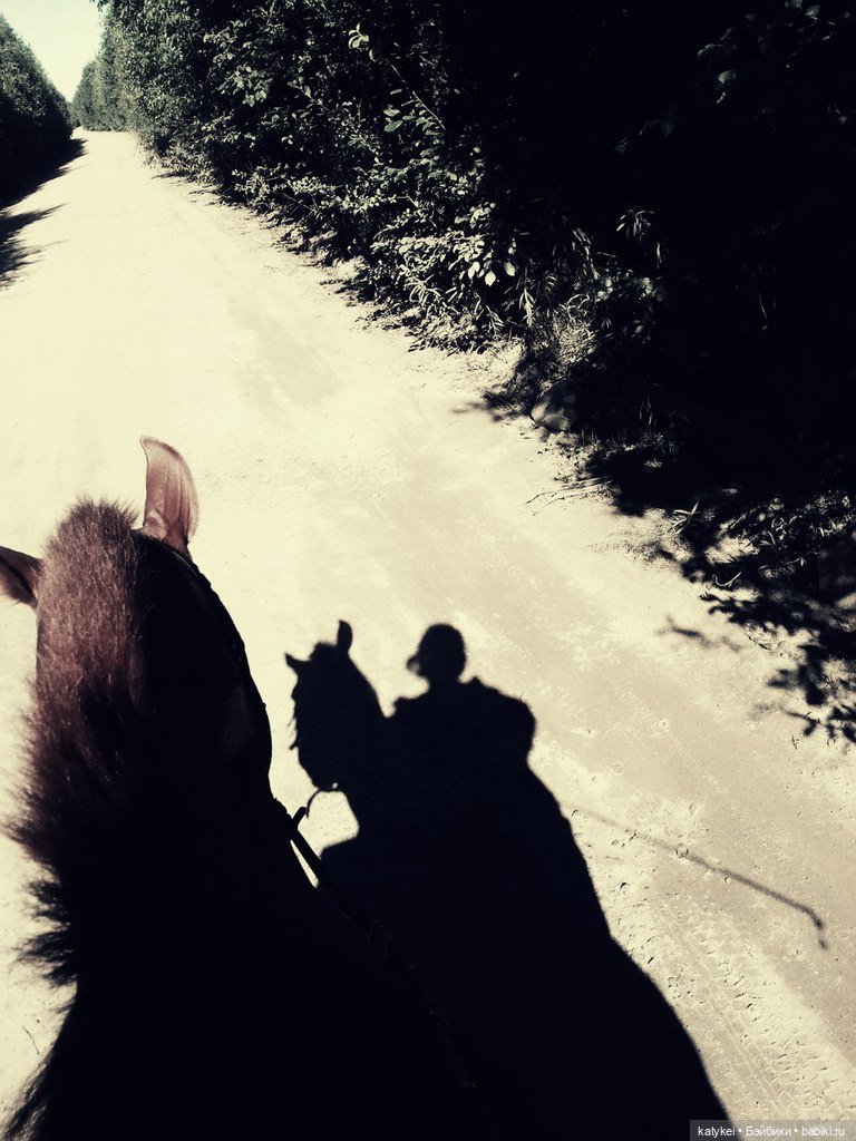 День Лошади — Коллекционные игрушки и фигурки: Lego