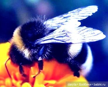 Не шевелись — Болталка и разговоры обо всем: жизнь