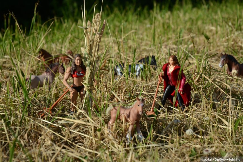 Сенокос (постконкурс) — Разные шарнирные куклы (не БЖД): редкие