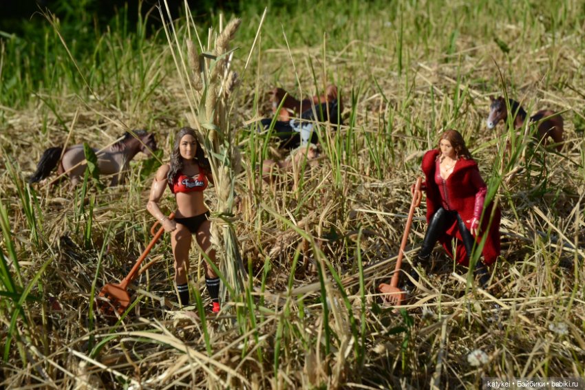 Сенокос (постконкурс) — Разные шарнирные куклы (не БЖД): редкие (фото 4)