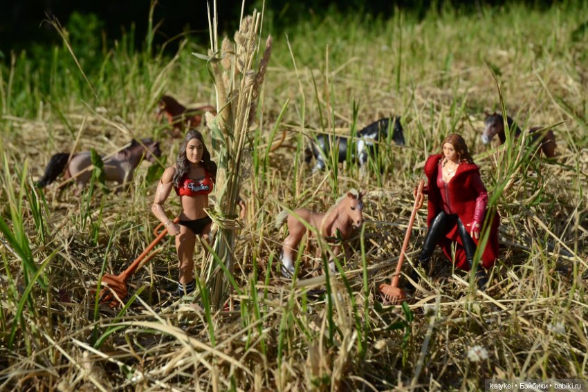 Сенокос (постконкурс) — Разные шарнирные куклы (не БЖД): редкие (фото 3)