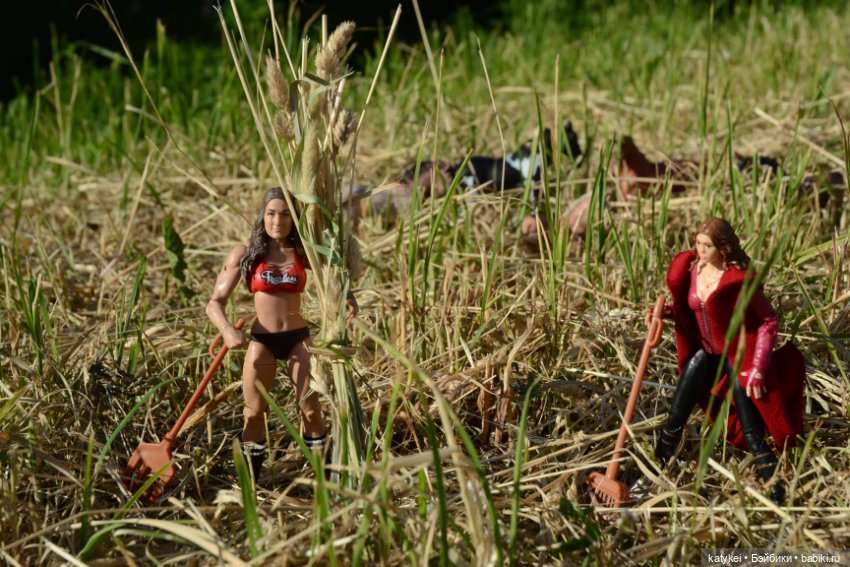 Сенокос (постконкурс) — Разные шарнирные куклы (не БЖД): редкие (фото 5)