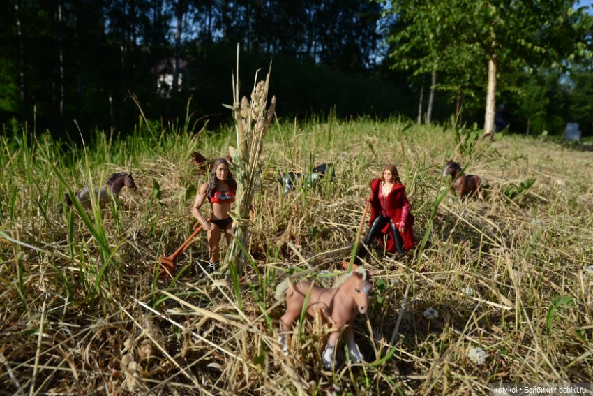 Сенокос (постконкурс) — Разные шарнирные куклы (не БЖД): редкие (фото 2)