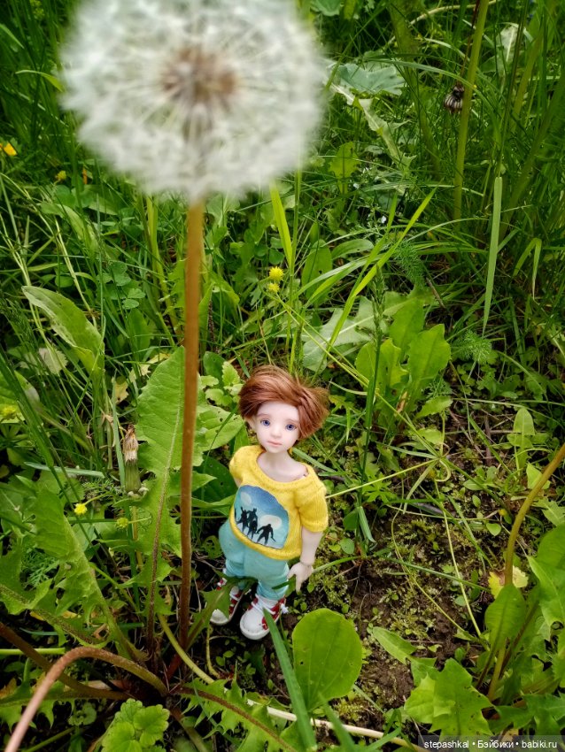 Лютики - это не только цветы (фото 7)