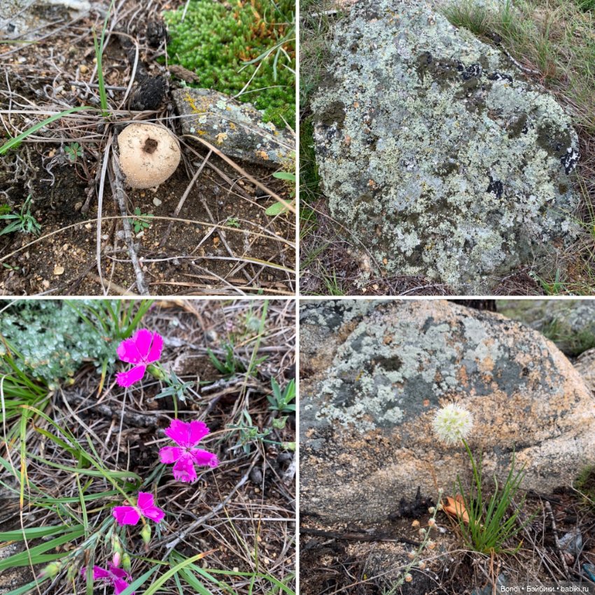Озеро Байкал. Сахюрта — Туризм и путешествия: фотоотчеты из поездок