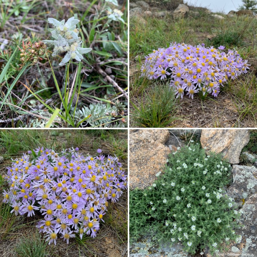 Озеро Байкал. Сахюрта — Туризм и путешествия: фотоотчеты из поездок