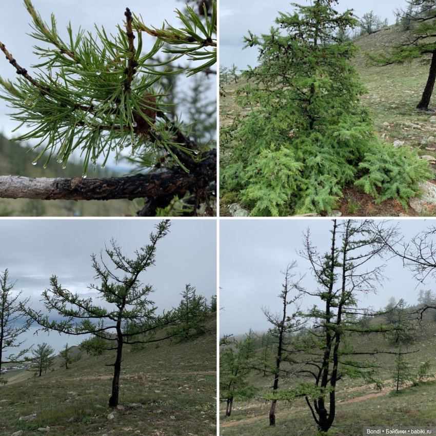 Озеро Байкал. Сахюрта — Туризм и путешествия: фотоотчеты из поездок