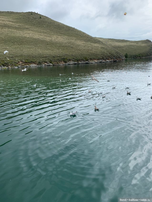 Озеро Байкал. Сахюрта — Туризм и путешествия: фотоотчеты из поездок (фото 8)