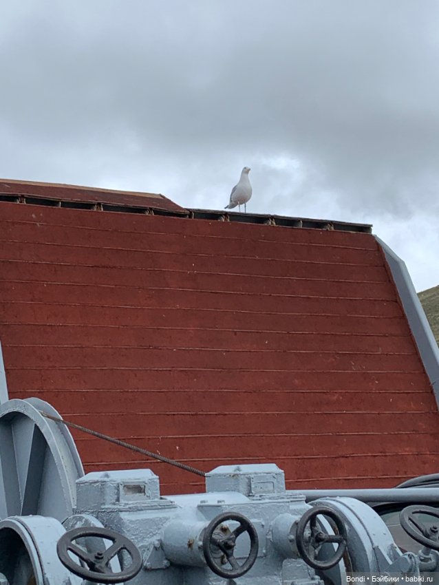 Озеро Байкал. Сахюрта — Туризм и путешествия: фотоотчеты из поездок (фото 9)