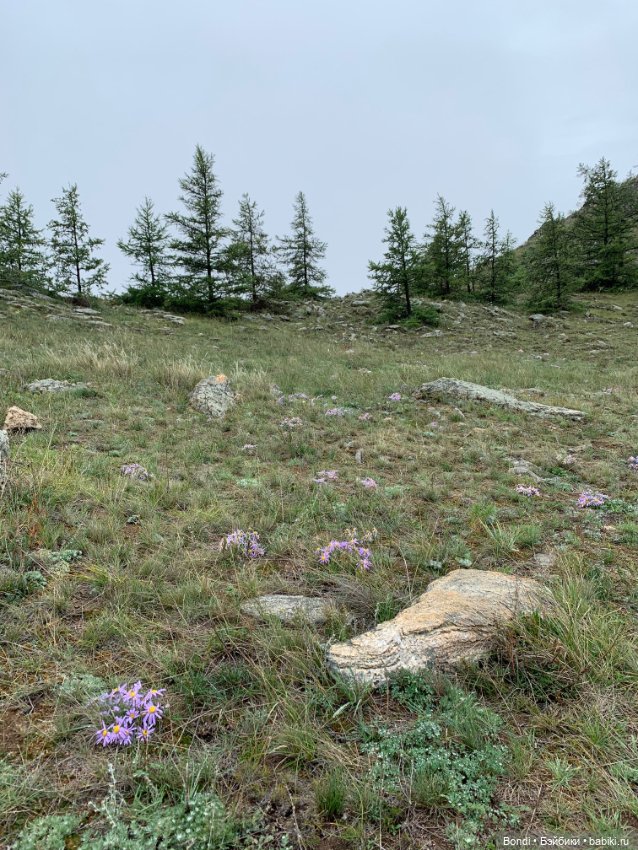 Озеро Байкал. Сахюрта — Туризм и путешествия: фотоотчеты из поездок