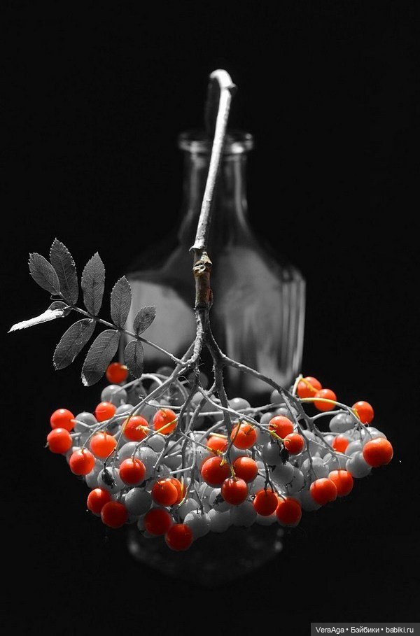 Костры рябин — Красивая природа и цветы: фото пейзажей (фото 6)