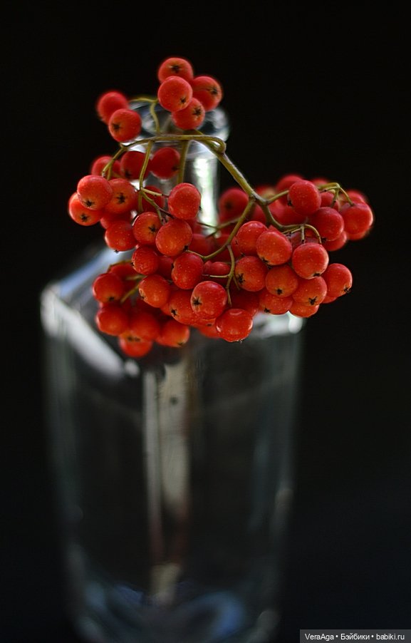 Костры рябин — Красивая природа и цветы: фото пейзажей (фото 5)