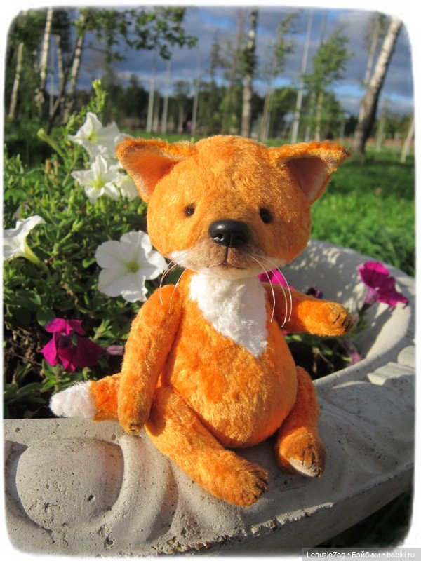 Фотосессия лисёнка Лесика (фото 2)