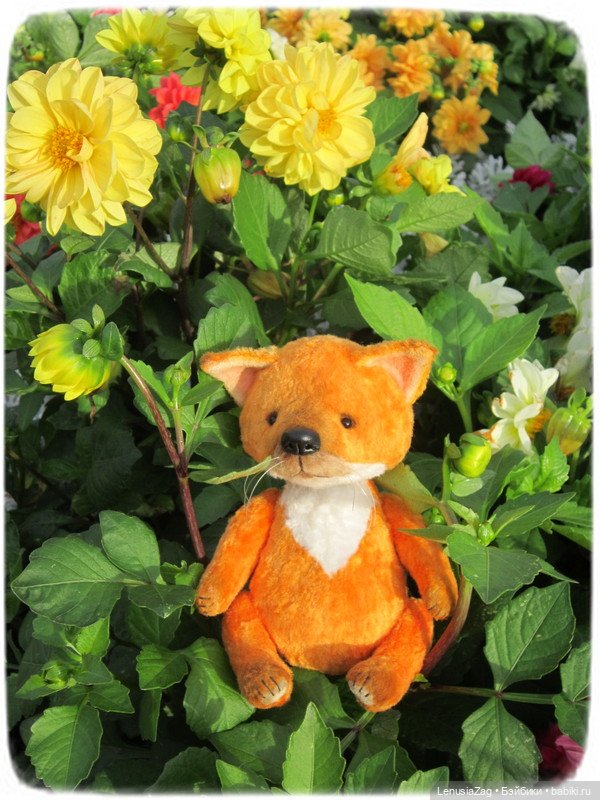 Фотосессия лисёнка Лесика (фото 5)