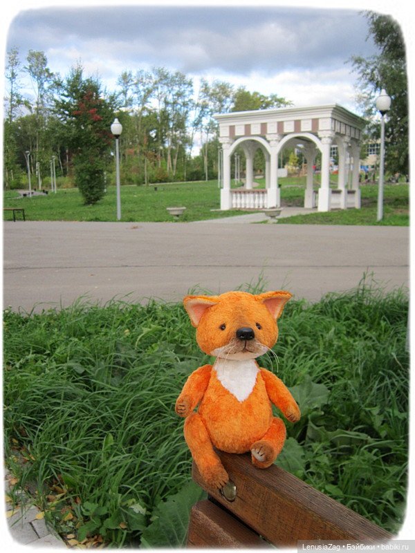 Фотосессия лисёнка Лесика (фото 6)