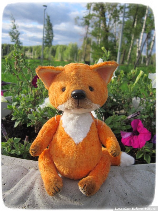 Фотосессия лисёнка Лесика