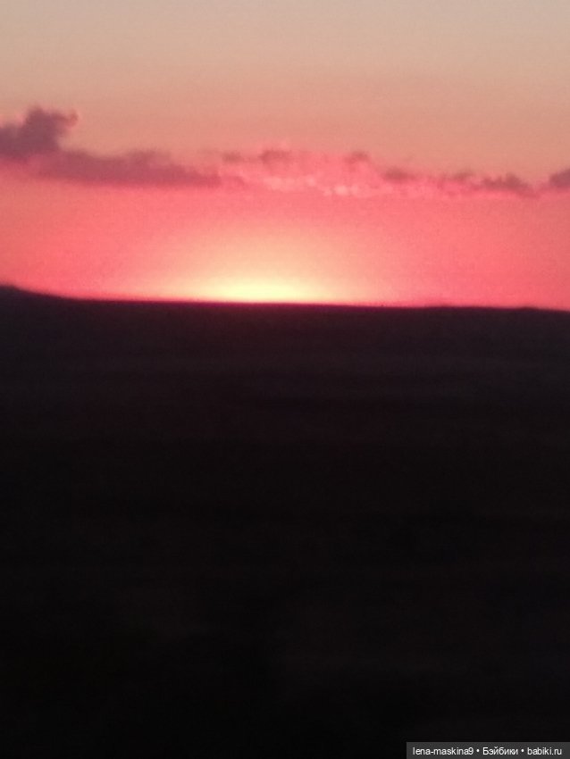 Крым-Судак и малышки Келли