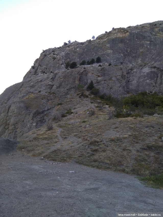 Крым-Судак и малышки Келли (фото 4)